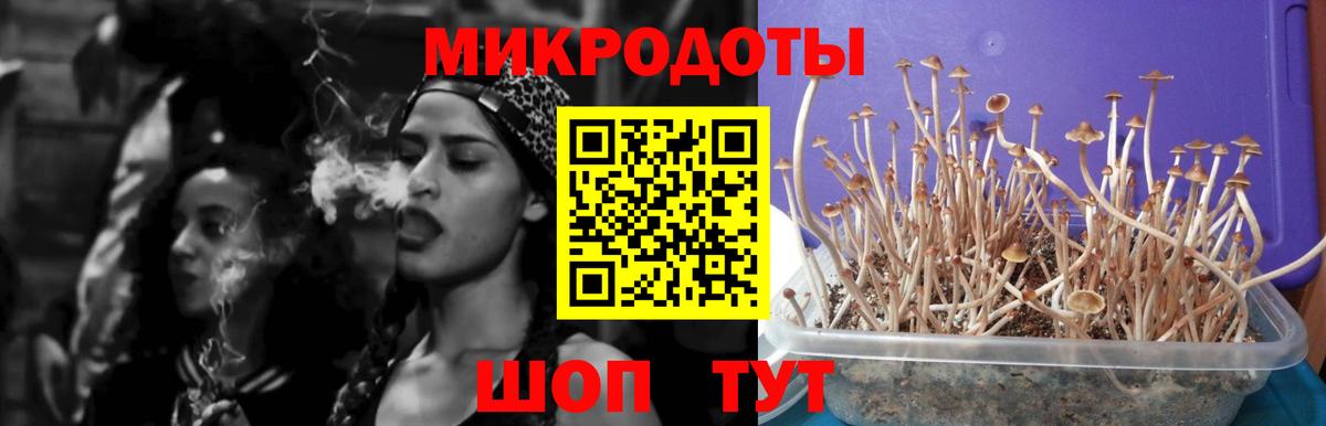 Псилоцибиновые грибы прущие грибы  наркотики  Мончегорск  Вход с VPN  Галлюциногенные грибы Cubensis 